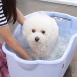 A SPA FOR PET